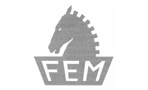 Logo - FEM